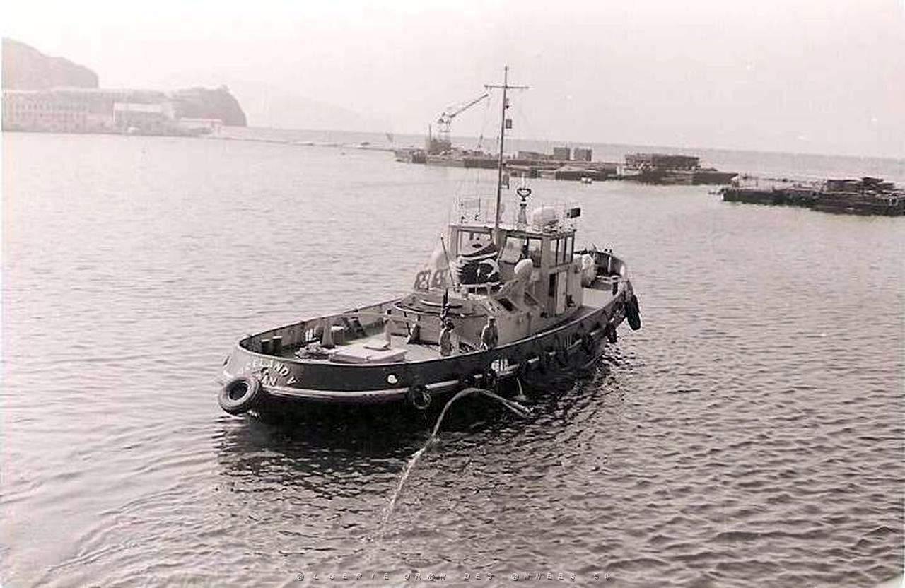 GOELAND V- 01.jpg